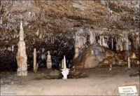 Sloupskošošůvské jeskyně